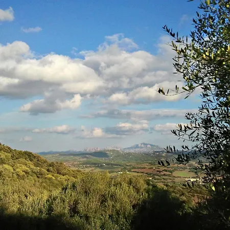 Alloggio per agriturismo Agriturismo Stazzi La China Luogosanto